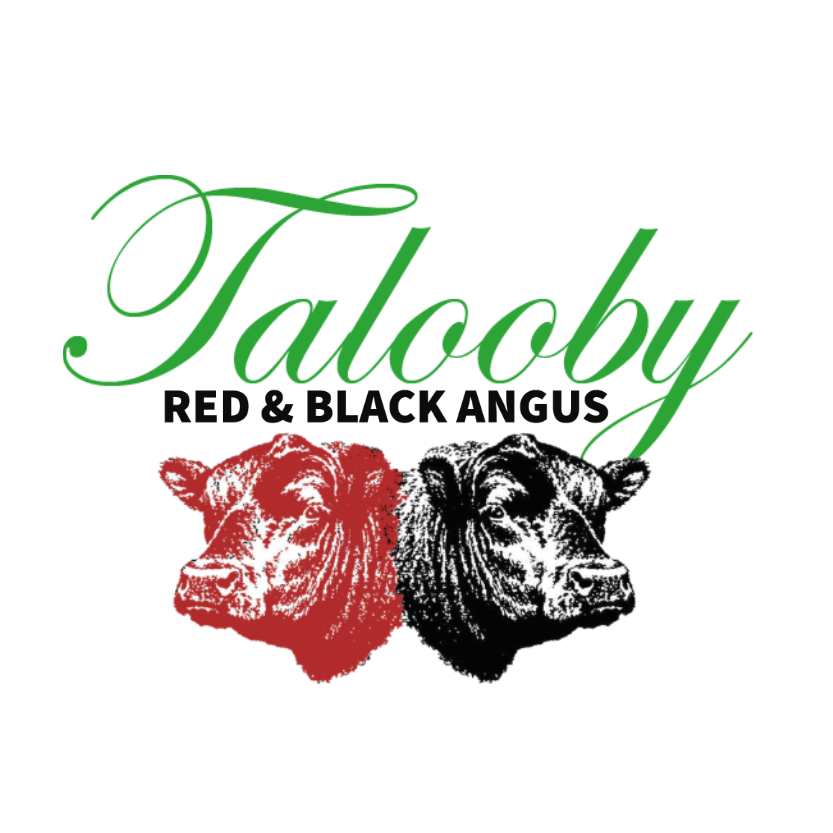 1638773065067073706_5389759d-10d4-4852-a5f0-ae5207ff9d88