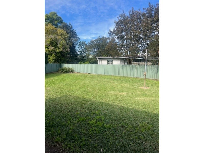 eagle_1600809-SINGLETON-2025-05-29-044402-1