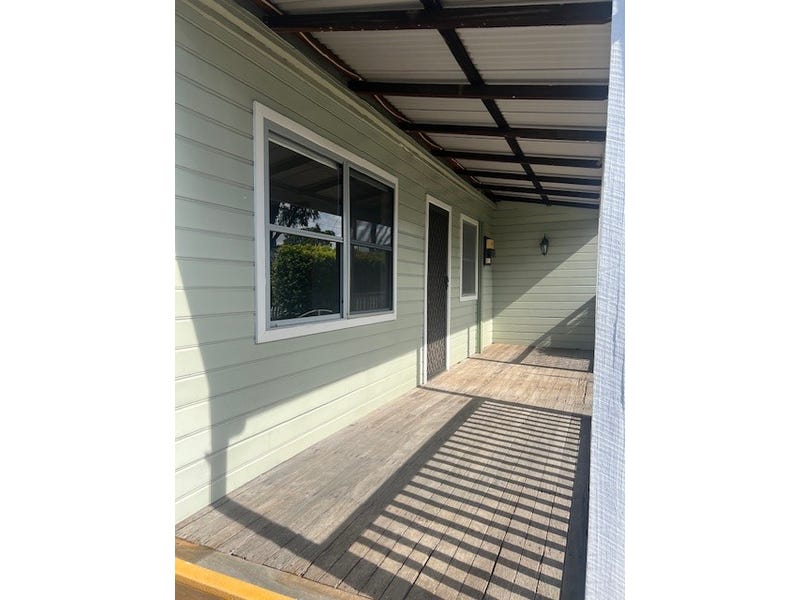 eagle_1600809-SINGLETON-2025-05-29-044402-2