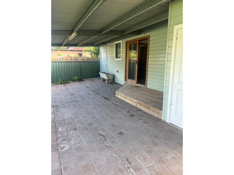 eagle_1600809-SINGLETON-2025-05-29-044402-3