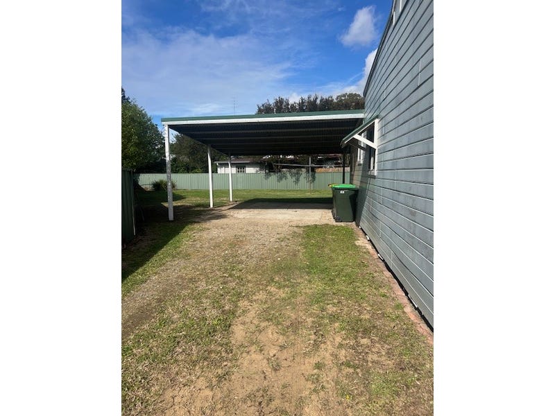 eagle_1600809-SINGLETON-2025-05-29-044402-4