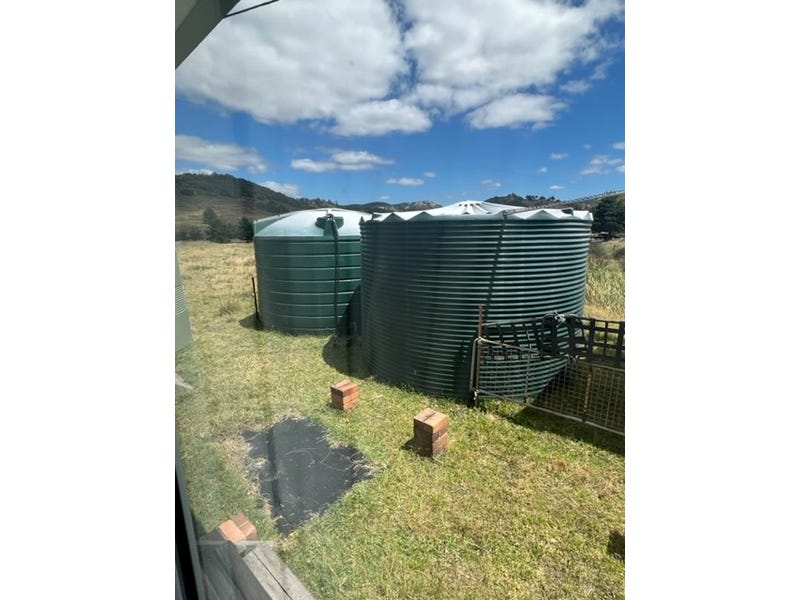 eagle_1625042-HEBDEN-2025-07-19-041407-8