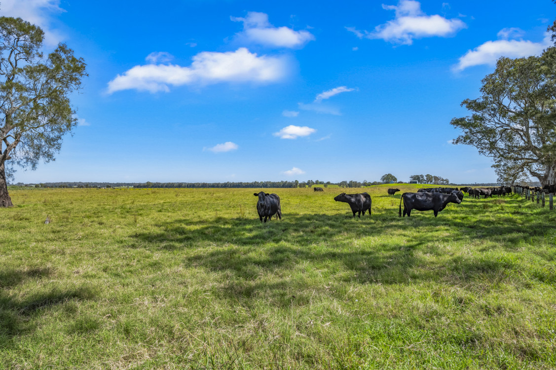 eagle_1683835-SEAHAM-2025-11-05-153919-5