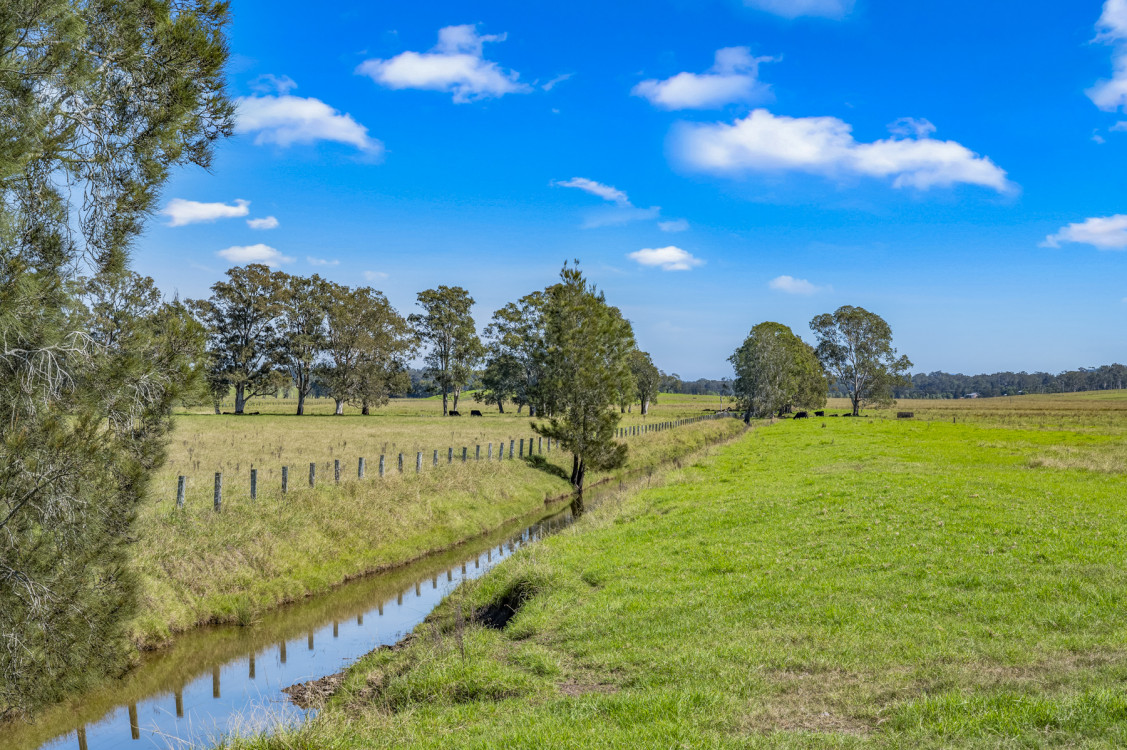 eagle_1683835-SEAHAM-2025-11-05-153919-6