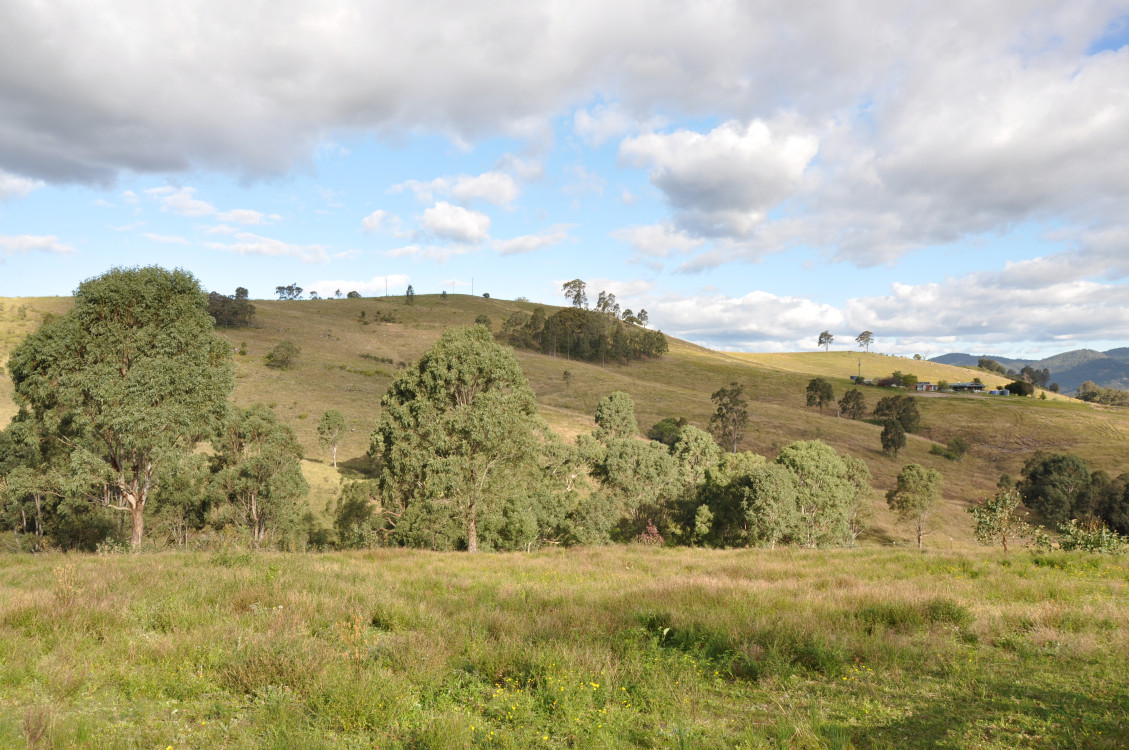 eagle_1620274-GLENDON-BROOK-2025-07-25-054051-2