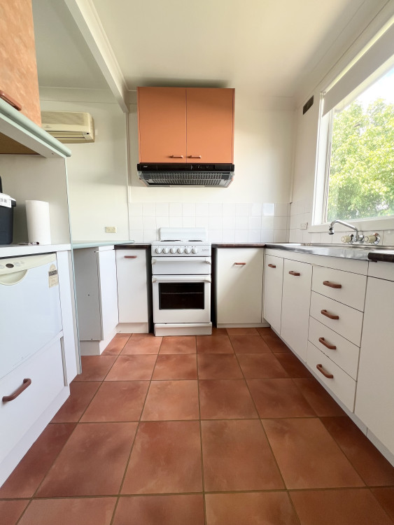 eagle_1685957-SINGLETON-2025-12-19-064534-1