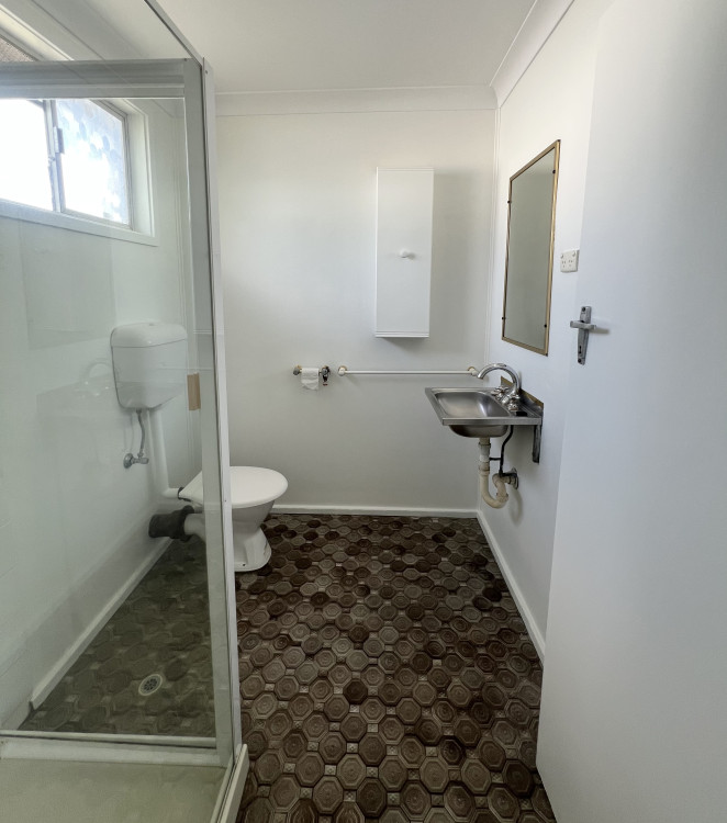 eagle_1685957-SINGLETON-2025-12-19-064534-3