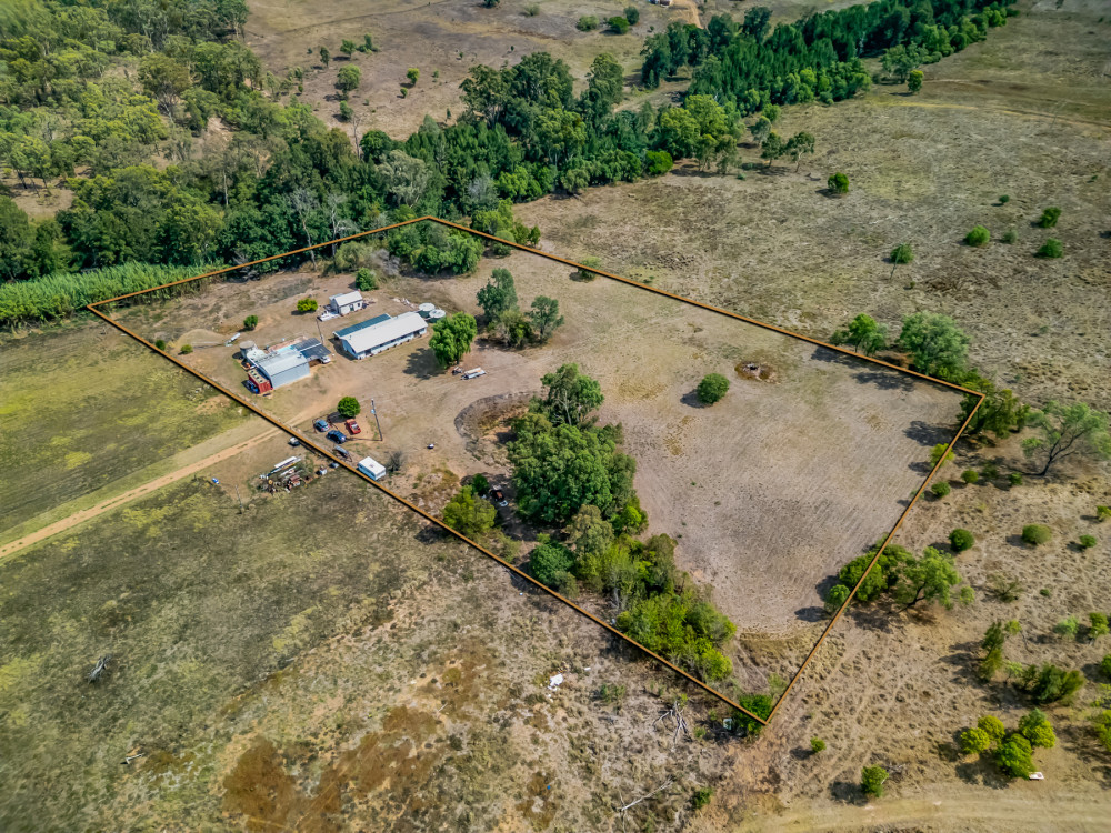 eagle_1730856-DOYLES-CREEK-2026-03-04-041050-13