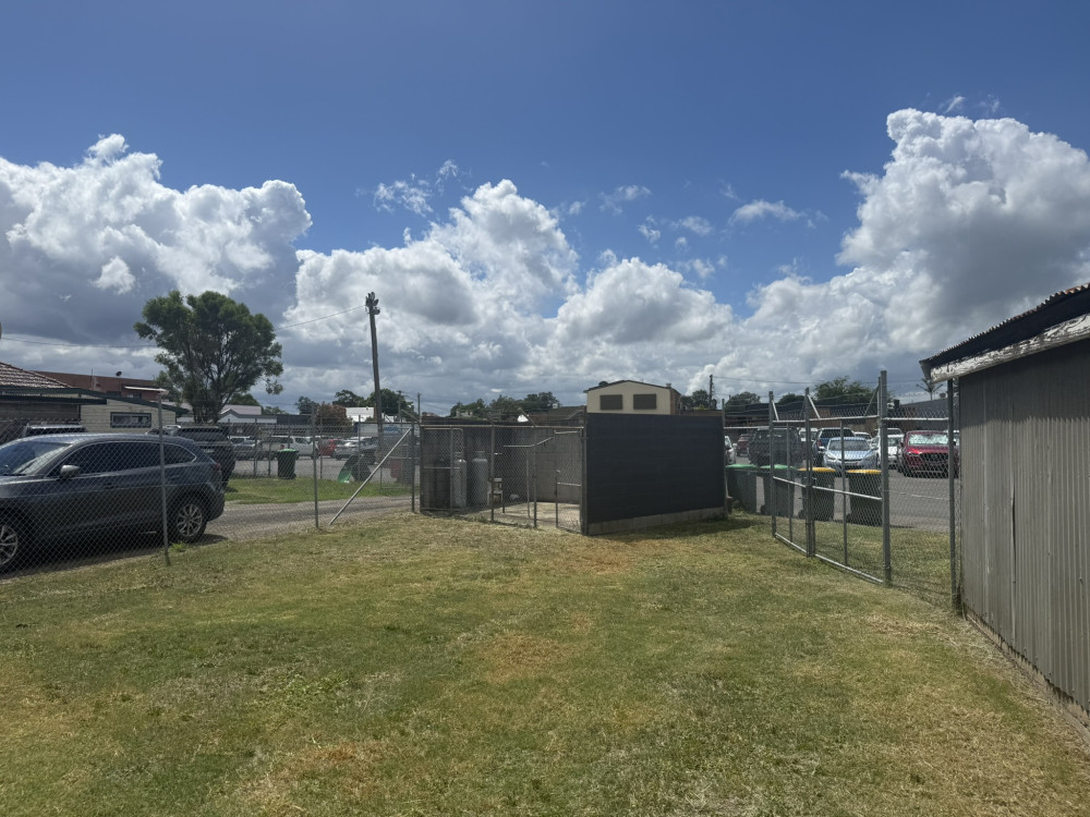 eagle_1731281-SINGLETON-2026-03-04-163554-5