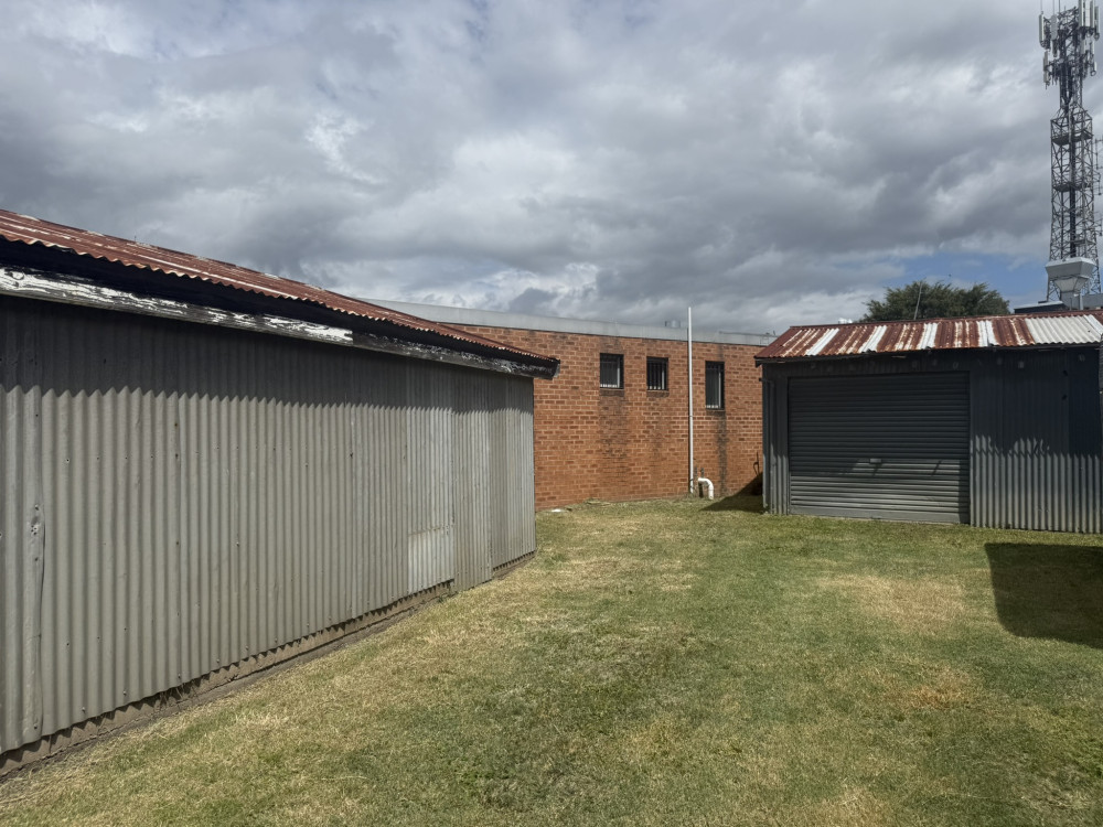 eagle_1731281-SINGLETON-2026-03-04-163554-6