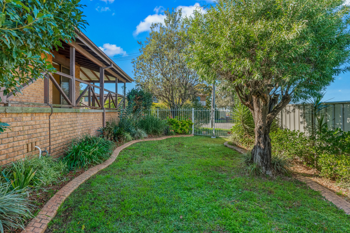 eagle_1814676-SINGLETON-2026-08-03-155626-1