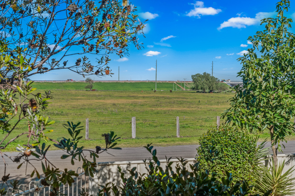 eagle_1814676-SINGLETON-2026-08-03-155626-9